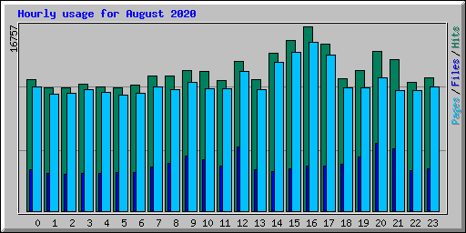 Hourly usage for August 2020