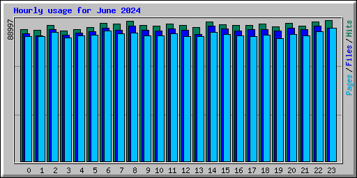 Hourly usage for June 2024