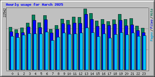 Hourly usage for March 2025