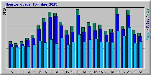 Hourly usage for May 2025