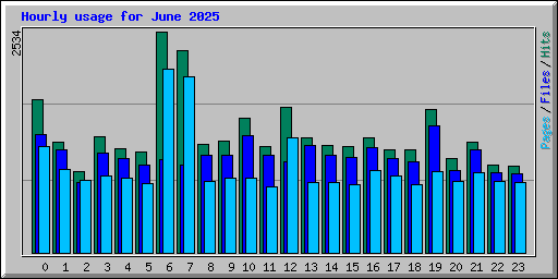 Hourly usage for June 2025