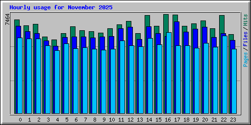Hourly usage for November 2025