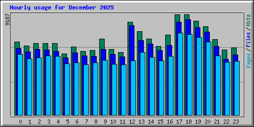 Hourly usage for December 2025