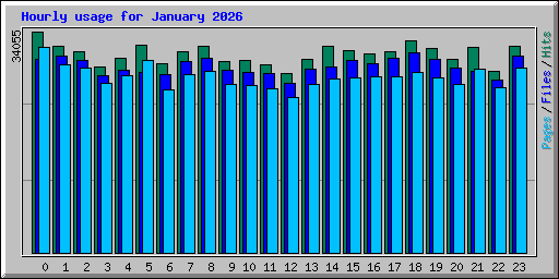 Hourly usage for January 2026