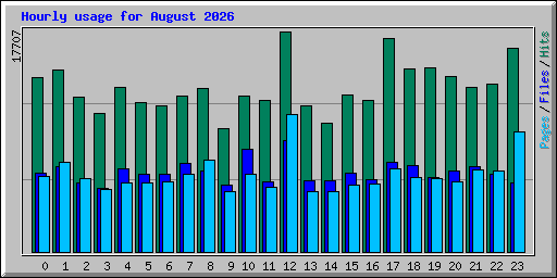 Hourly usage for August 2026